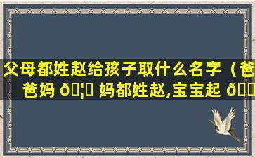 父母都姓赵给孩子取什么名字（爸爸妈 🦉 妈都姓赵,宝宝起 🌿 啥名字好听）